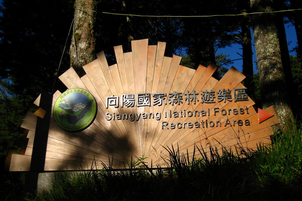 台東-向陽國家森林遊樂區